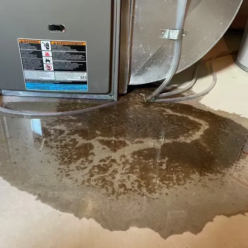 Appliance Leak Cleanup in Indian Hills, CO